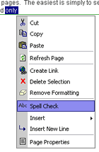 Spell Checker context menu